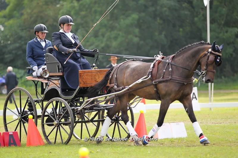 Beesd: WK paramennen: Nederlands team en Francisca den Elzen wereldkampioen!